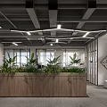 Modern Office Interior With Stylish Lighting Wooden Reception Desk And Indoor Green Plants