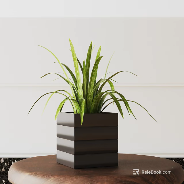 Potted Plant With Green Long Leaves In Black Multi Layered Square Pot On Brown Table 3d model 