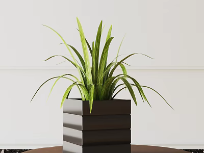 Potted Plant With Green Long Leaves In Black Multi Layered Square Pot On Brown Table 3d model