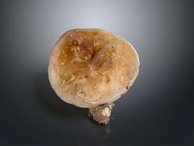 Organic Edible Fresh Brown Mushroom With Natural Cap Texture And Stem 3d model