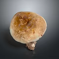 Organic Edible Fresh Brown Mushroom With Natural Cap Texture And Stem
