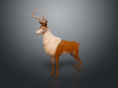 Brown And White Spotted Deer With Large Antlers Standing On Gray Background 3d model