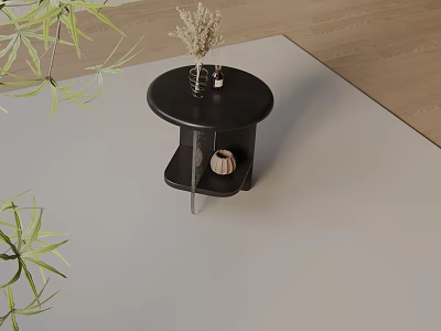 Simple Round Dark Side Table With Vase Dried Flowers And Green Plants On Light Carpet 3d model