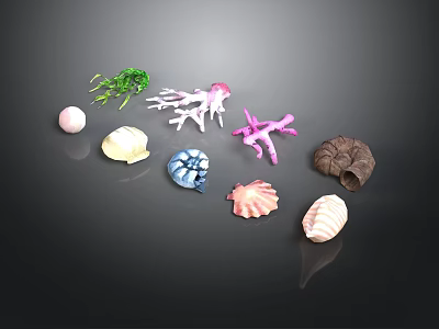 Colorful Seashells Coral Pieces And Green Seaweed On Black Background 3d model