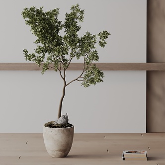 Modern Potted Plant 3d model