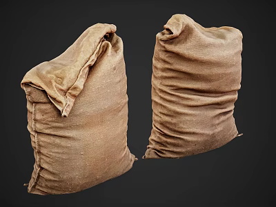 Two Brown Burlap Sacks With Wrinkled Texture And Loose Tops 3d model