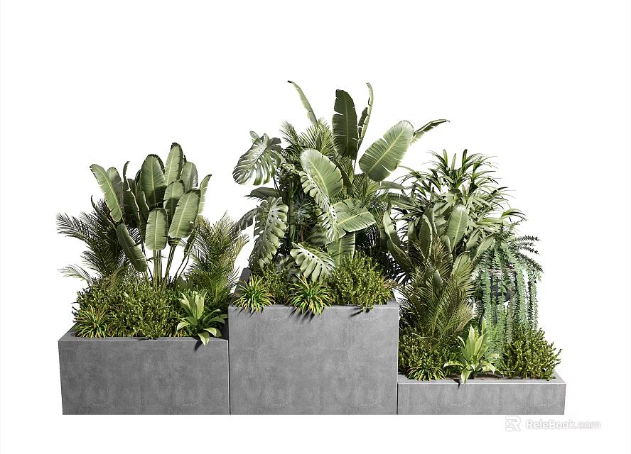 Bonsai Potted Plants With Various Green Foliage In Concrete Planters Arrangement 3d model 