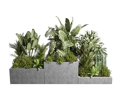 Bonsai Potted Plants With Various Green Foliage In Concrete Planters Arrangement 3d model