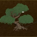 Arbor With Lush Green Foliage Curved Trunk and Exposed Roots on Brown Ground Surface