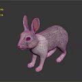 Gray and White Rabbit with Pink Ears Standing on Dark Shiny Surface 3d model