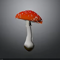 Red Mushroom With White Spots On Cap And White Stem Brown Base