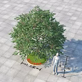 Green Canopy Arbor 1.5m Diameter Base 4.5m Height on Paved Ground with Human Figure 3d model