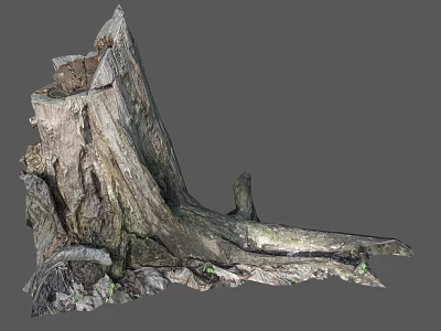 tree root broken tree 3d model