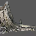 tree root broken tree 3d model