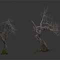 Withered Trees Scene With Thick Trunk Exposed Roots And Black Text On White Background 3d model