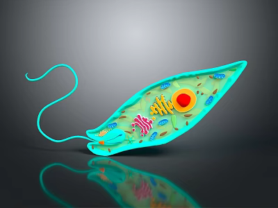 Advanced Medical Device with 3D Cell Structure Model for Medical Research Analysis 3d model