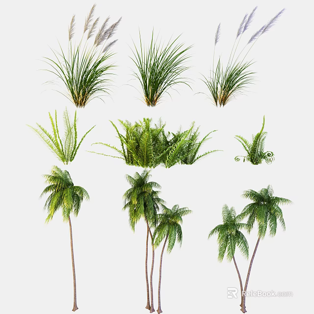 Diverse Green Plants Collection Featuring Grasses Ferns And Palm Trees 3d model 