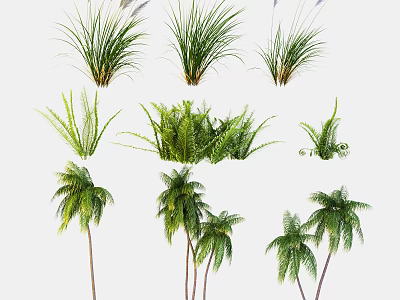 Diverse Green Plants Collection Featuring Grasses Ferns And Palm Trees 3d model