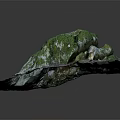 Wood Stone Decorative Rock With Moss Covered Top And Natural Wood Base