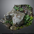 Natural Wood And Stone Features With Green Moss And Lush Plants