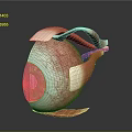 Detailed Human Eyeball 3D Model Showing Anatomical Structure With Iris Blood Vessels And Muscles