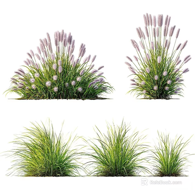 Purple Flowering Grasses And Green Decorative Plants For Garden Landscape Design 3d model 