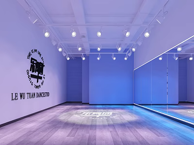 Dance Fitness Studio With Mirrors Wooden Floor And Bright Lighting 3d model