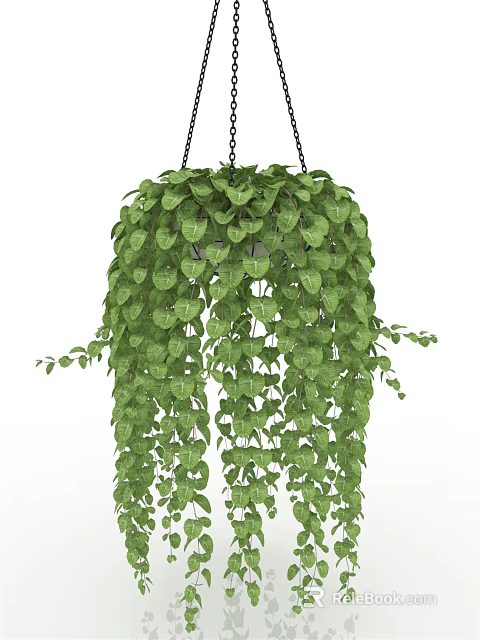 Lush Green Hanging Basket Plants With Trailing Foliage For Indoor Decor 3d model 
