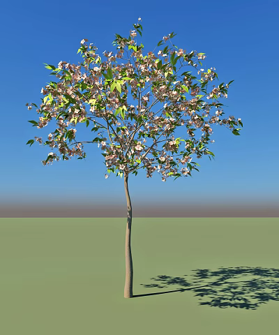Tall Arbor With Pink Flowers And Green Leaves Against Blue Sky And Green Ground 3d model