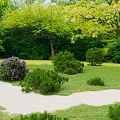 Garden Landscape Design With Green Lawn Curved Walkway Purple Flower Bushes And Trees