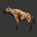 Spotted Hyena 3D Rendering With Colorful Fur And Standing Pose On Dark Background