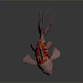 Red Metallic Goldfish With Large Tail Red Stripes On Dark Background