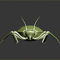 Realistic Green Cricket 3D Model With Glossy Surface Long Antennae And Reflective Dark Background