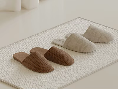 Stylish Rug with Brown and Gray Fabric Slippers on Light Colored Textured Surface 3d model