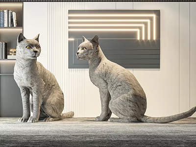 Two Gray Cats Sitting In Indoor Space With Bookshelf And Neon Light Wall Art 3d model