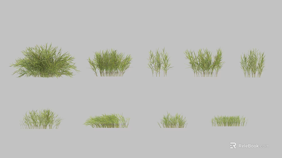 Various Green Shrubs with Different Forms for Garden Landscape Design 3d model