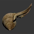 Decorative Conch Shell Ornament With Natural Spiral Design For Home Living
