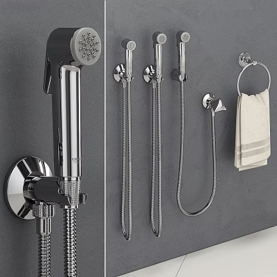 Elegant Modern Shower System With Fixed Head Handheld Sprayer Flexible Hoses And Chrome Finish 3d model