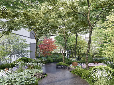 Residential Landscape With Lush Greenery Various Trees Winding Pathway And Flowering Plants 3d model