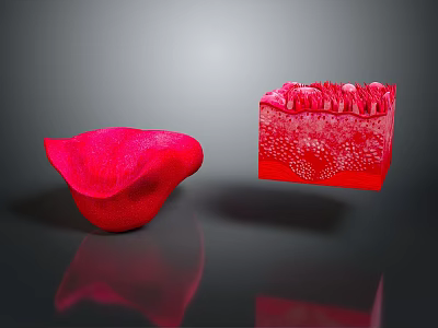 Red Petal Like Object And Detailed Internal Structured Block 3D Rendering With Textured Surface 3d model
