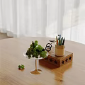 Decorative Ornament Set with Green Plants Transparent Stand Small Bicycle Model and Star Wooden Base