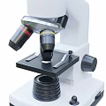 Professional Medical Microscope With Single Eyepiece Adjustable Stage And Stable Base 3d model