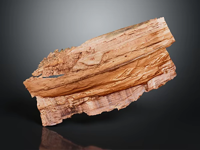 Wooden Stone Decorative Piece With Natural Texture Layered Structure And Warm Brown Surface 3d model