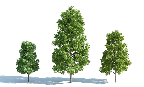 The Modern Tree 3d model