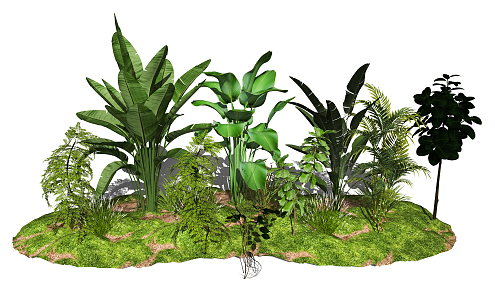 modern plant potted landscape plant combination 3d model