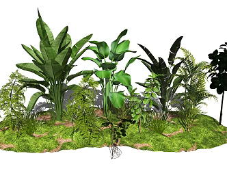 modern plant potted landscape plant combination 3d model