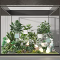Glass Framed Indoor Garden Display With Various Green Plants Decorative Ornaments And Round Lights