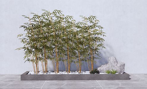 Modern bamboo indoor green bamboo combination 3d model