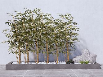 Modern bamboo indoor green bamboo combination 3d model