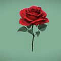Vibrant Red Rose Flower With Fresh Green Leaves On Light Green Background